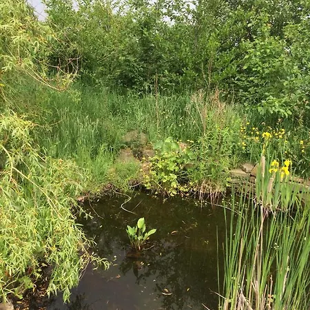 Bank View Farm