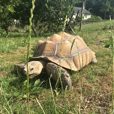 Bank View Farm Готель типу 